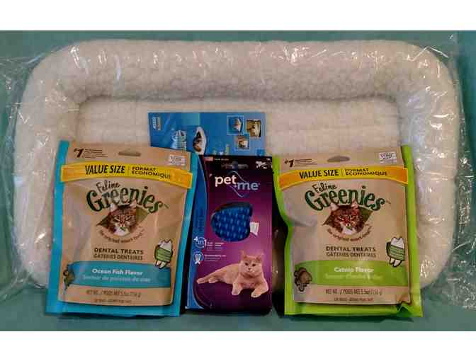 Quiet Time Pet Bed, Greenies, and Brush