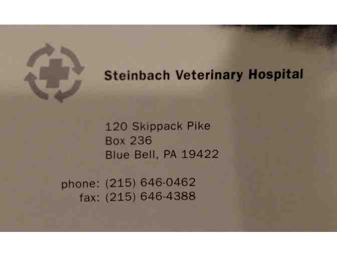 Gift Certificate to Steinbach Veterinary Hospital for Free Exam and Vaccine