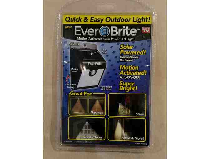 Everbrite LED Light