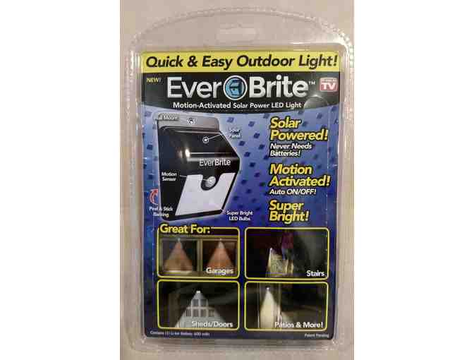 Everbrite LED Light