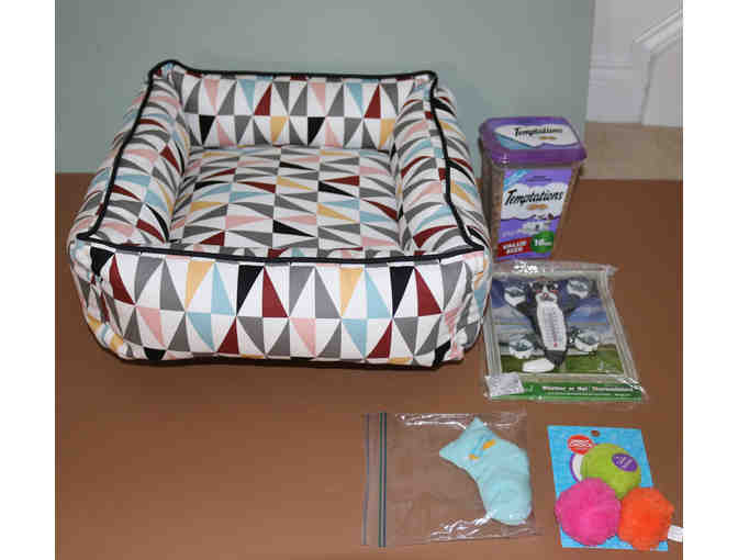 Cat Bed and Accessories - Photo 1