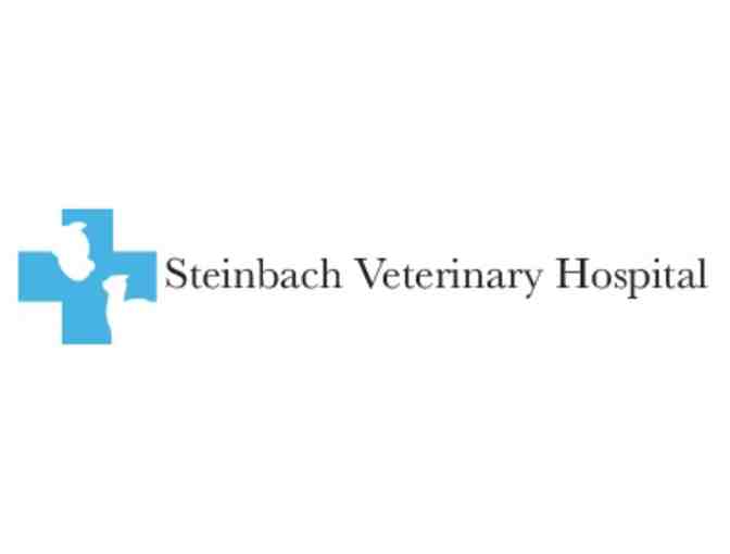 Gift Certificate to Steinbach Veterinary Hospital for Free Exam and Rabies Vaccine