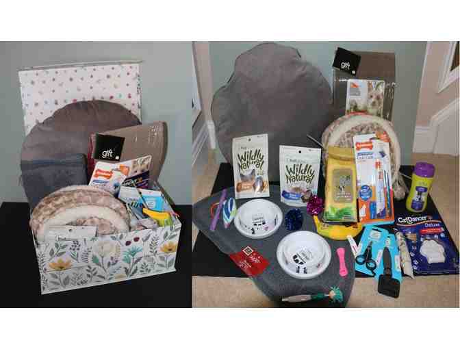 Box of Cat Items from Metropolitan Veterinary Hospital - Photo 1