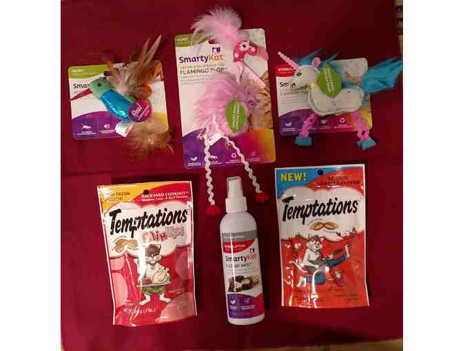 Cat Basket from King of Prussia Veterinary Hospital