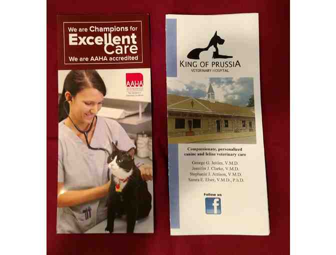 Cat Basket from King of Prussia Veterinary Hospital