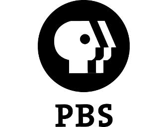 'American Experience': New York DVD 8 Pack