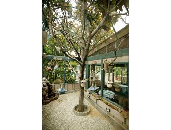 Best Western Encina Lodge Santa Barbara 2 Night Getaway Via Amtrak