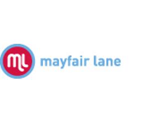 Mayfair Lane Gift Bag: Stylish and Fun Organizational Tools!