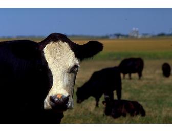 Organic Valley Dairy Products for 1 Year!