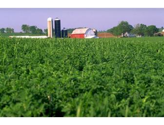 Organic Valley Dairy Products for 1 Year!