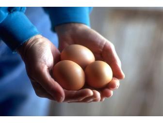 Organic Valley Dairy Products for 1 Year!