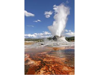 Yellowstone National Park- 8 Day/7 Night Guided Tour