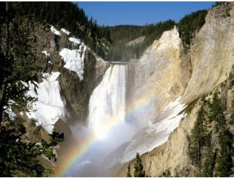 Yellowstone National Park- 8 Day/7 Night Guided Tour