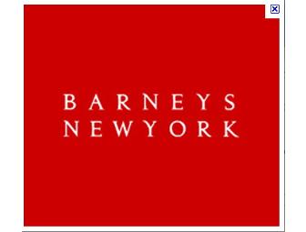 New York Experience - flight, accommodation, Barneys