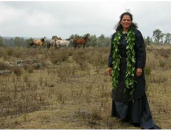 Exclusive Performance of 'Isabella Bird' on Mauka Ranch Lands