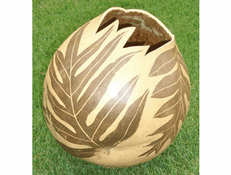 Laua`e Fern Ipu Gourd