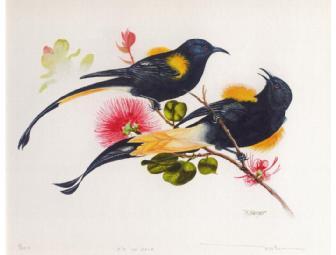 A Pair of Berger Birds