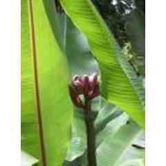 Akiko's Bed & Breakfast