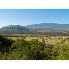 In Memory of Mona Hind