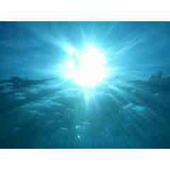 Hawaiian Healing Hands