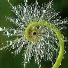 Oliver & Diane Garber