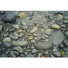 Mark & Christine Hall