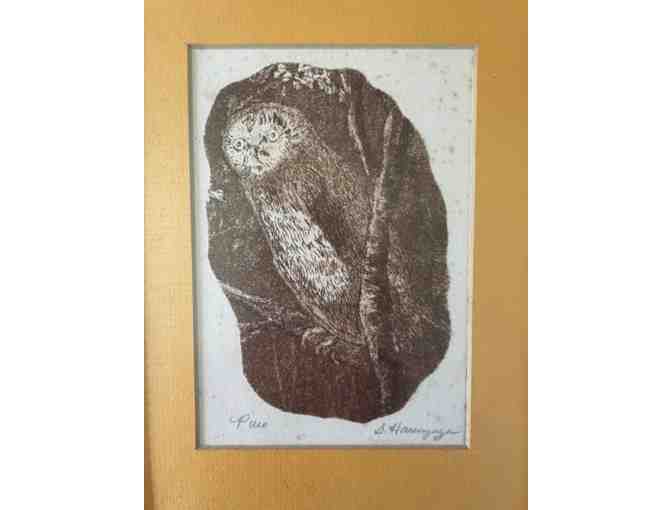 Pueo (Hawaiian owl) print signed by artist (framed) - Photo 1