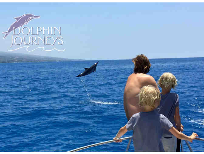 Dolphin Excursion for One Person