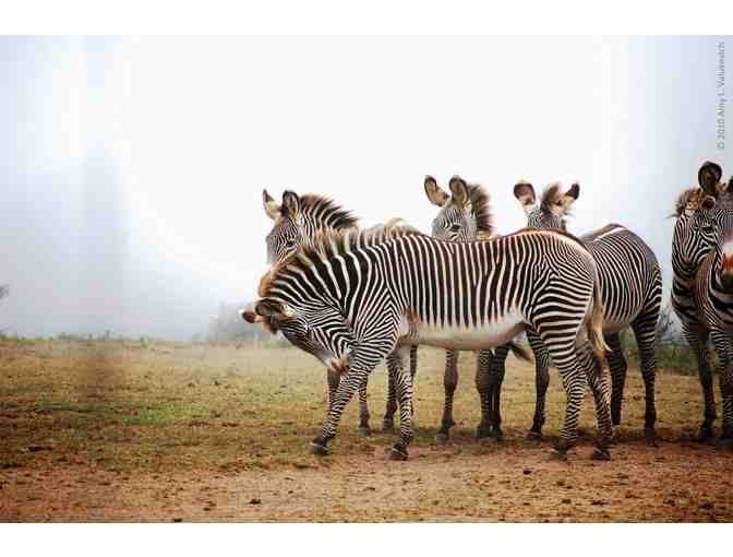 Wine Country Getaway: 5 nights stay at Point Cabrillo Light Keepers House