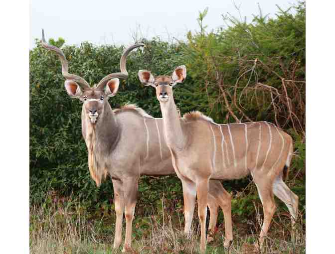 Wine Country Getaway: 5 nights stay at Point Cabrillo Light Keepers House