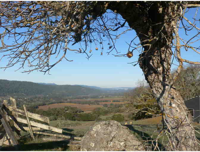 Wine Country Getaway: 2 nights stay in Anderson Valley
