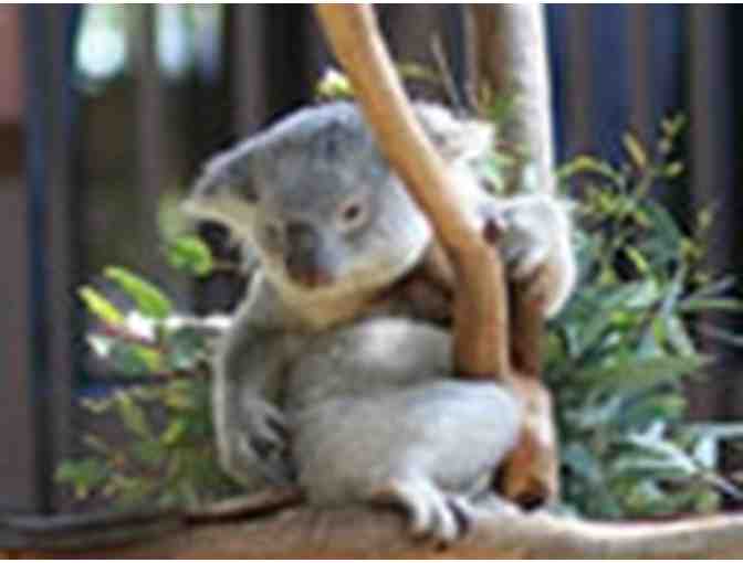 San Diego Getaway: Paradise Point Resort, George's in La Jolla, San Diego Zoo