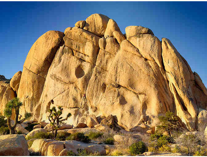Southwest Adventures: Two Vouchers for a Joshua Tree 1 Day Extravaganza