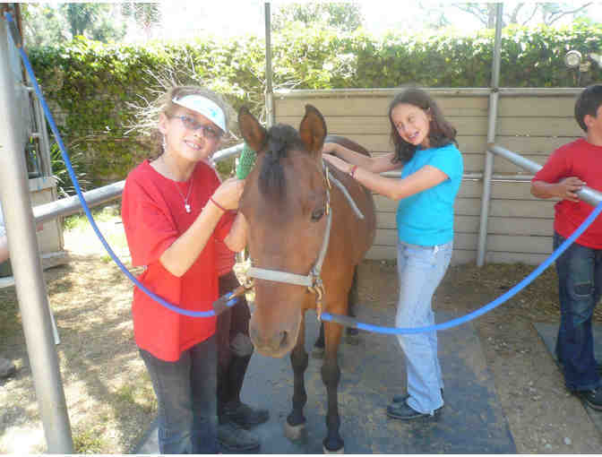 Enterprise Farms Riding School: Spring Horse Camp