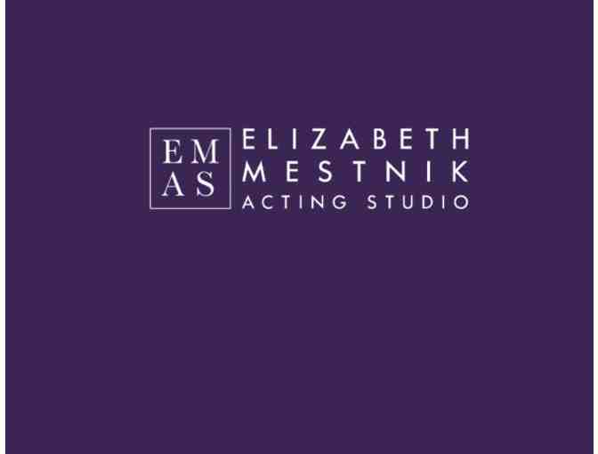 The Elizabeth Mestnik Acting Studio: 2 Hour Acting Coaching Session