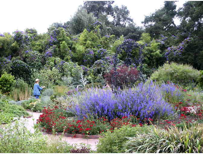 Huntington Library & Gardens: 2 Guest Passes