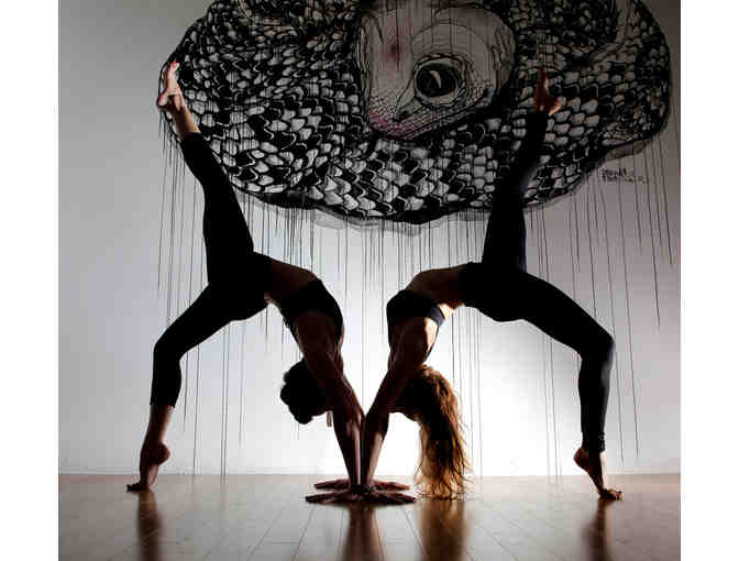 Tara Napoli's Power Yoga: 5-Class Package