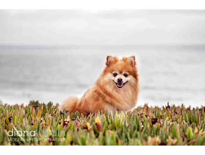 Modern Pet Portraiture by Diana Lundin