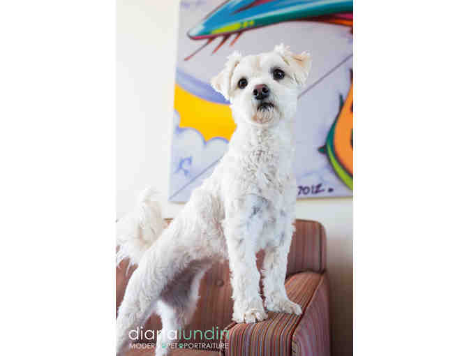 Modern Pet Portraiture by Diana Lundin