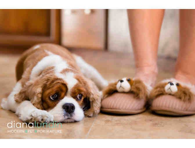 Modern Pet Portraiture by Diana Lundin