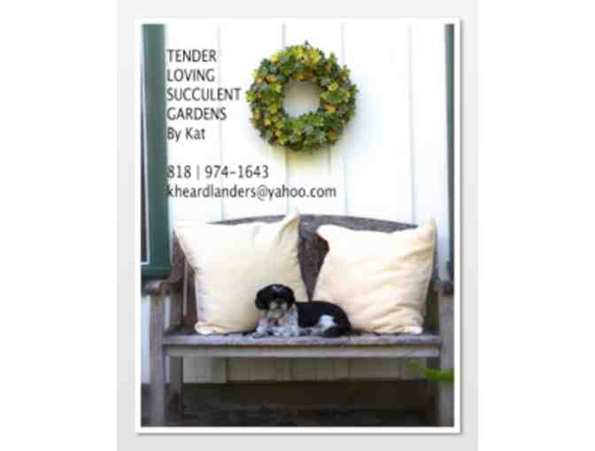 Tender Loving Succulent Gardens: $150 Gift Certificate
