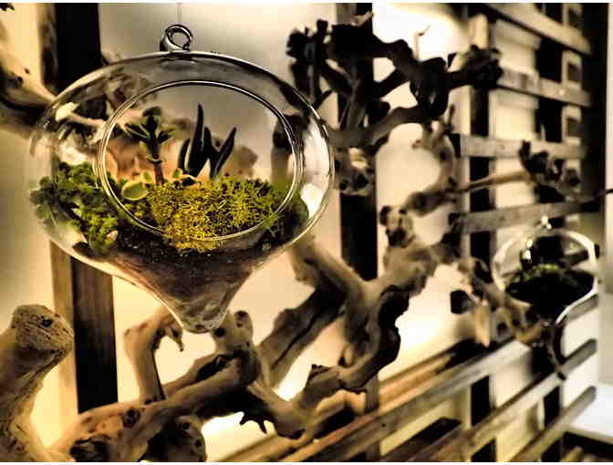 Hi-tech Facial - 60 minutes: Aeonium Integrative Skincare Clinic