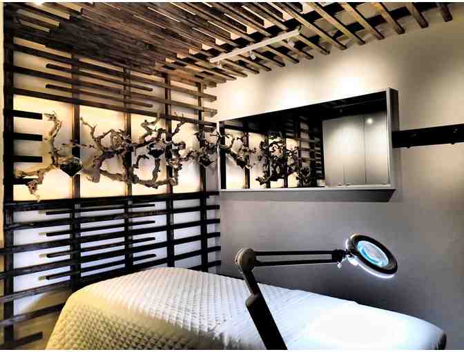 Hi-tech Facial - 60 minutes: Aeonium Integrative Skincare Clinic