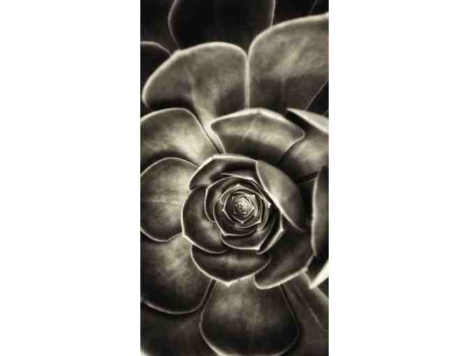 Hi-tech Facial - 60 minutes: Aeonium Integrative Skincare Clinic