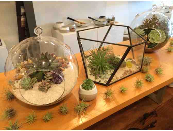 ACORN HOME/GARDEN/GIFT/DESIGN: $100 Gift Certificate