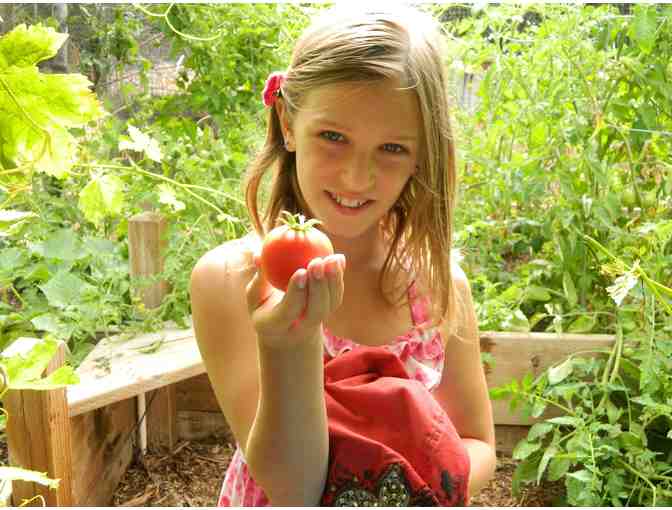 Summerkids Camp: Two-Week Session, Angeles National Forest