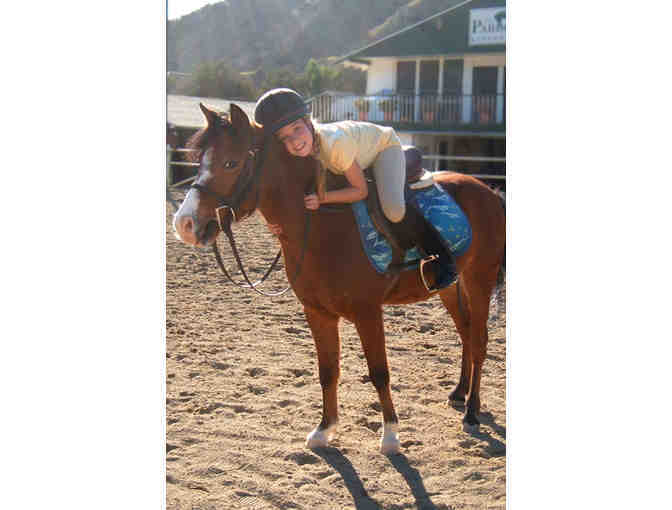 Enterprise Farms Riding School: Spring Horse Camp