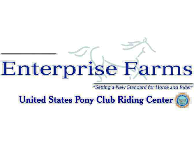 Enterprise Farms Riding School: Spring Horse Camp