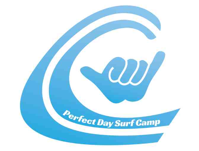 Perfect Day Surf Camp: One Day Surf Camp
