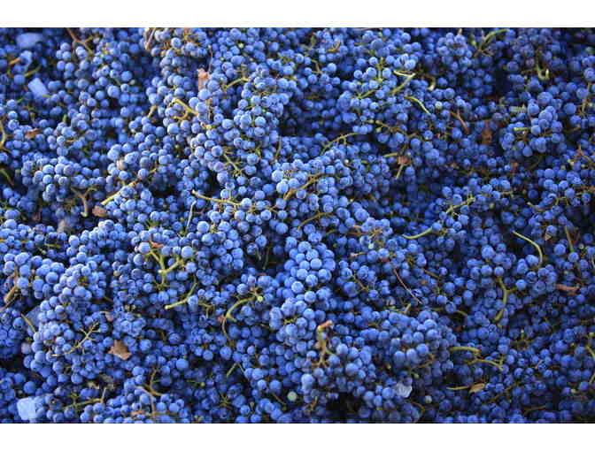 Malibu Family Wines: $50 Online Gift Card